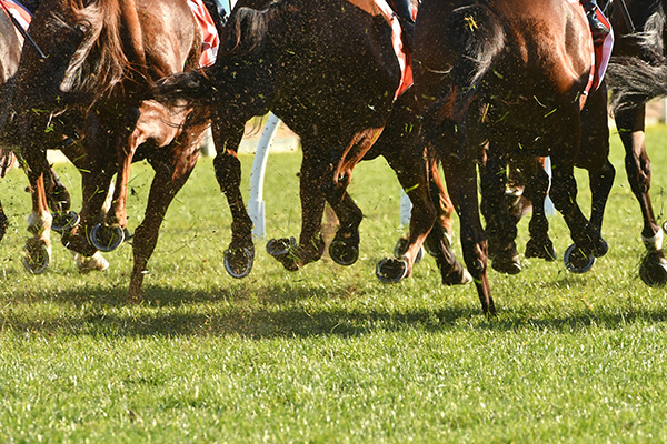 Melbourne Cup Day